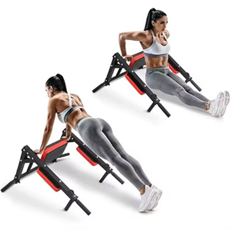 Heavy Duty Wall Mounted Parall - Home Gym Leg recensie en prijs