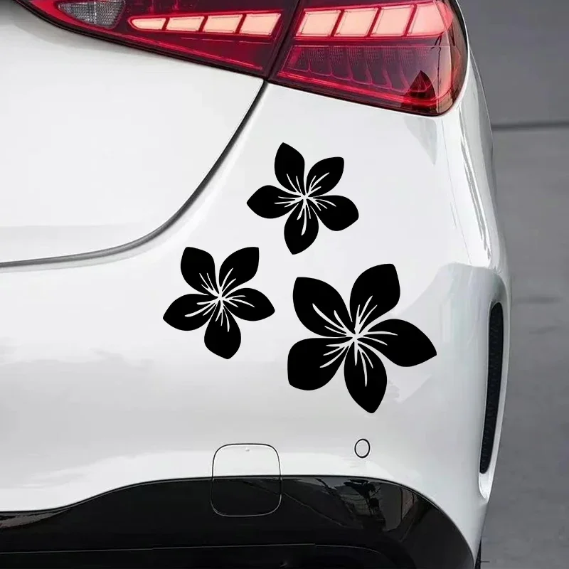 Various Colors Pretty Flower G - Weight Plate Bumper recensie en prijs