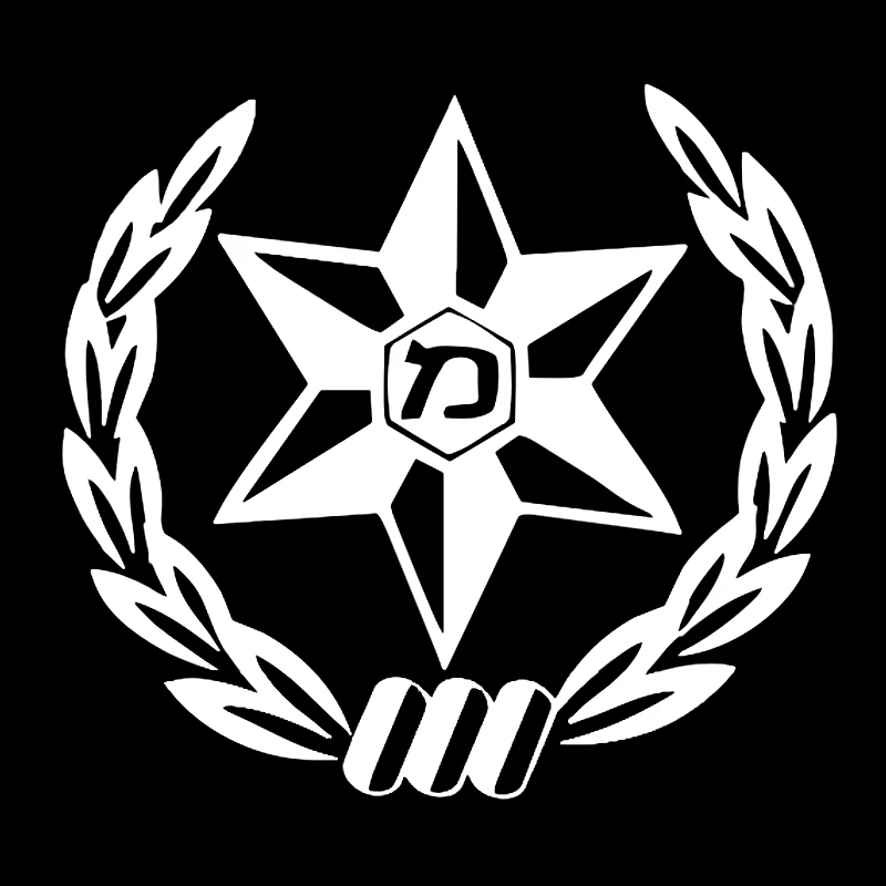 Car Sticker  Die-cut Vinyl Dec - Weight Plate Bumper recensie en prijs