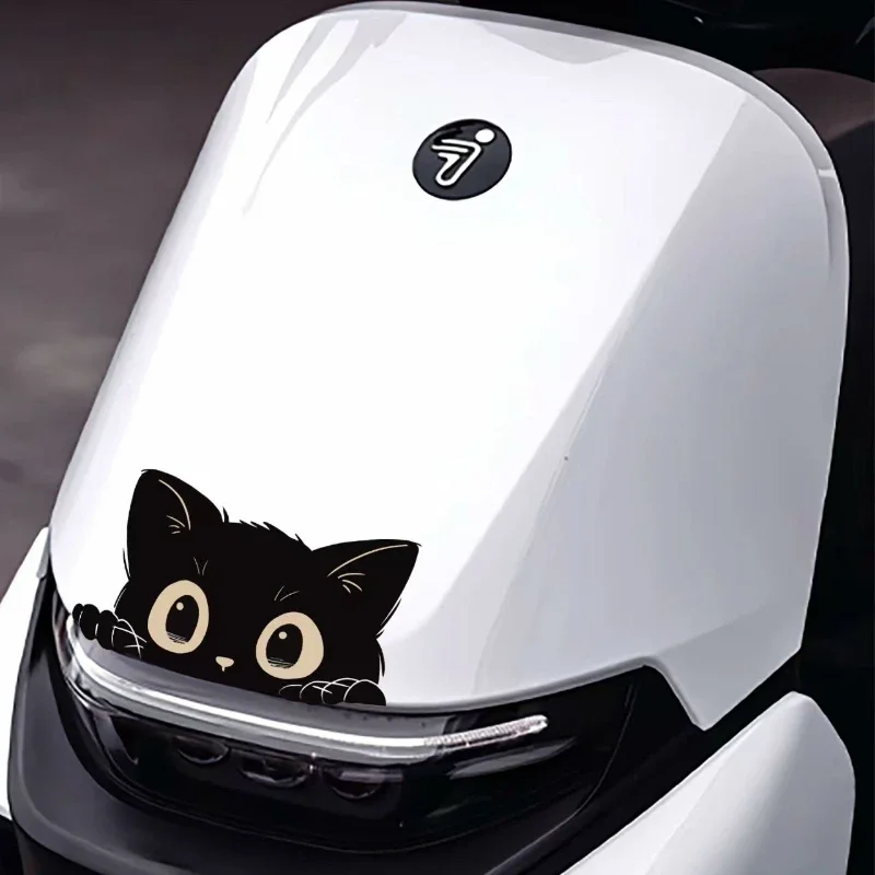 1pc Peeking Cat Sticker Car Bu - Weight Plate Bumper recensie en prijs